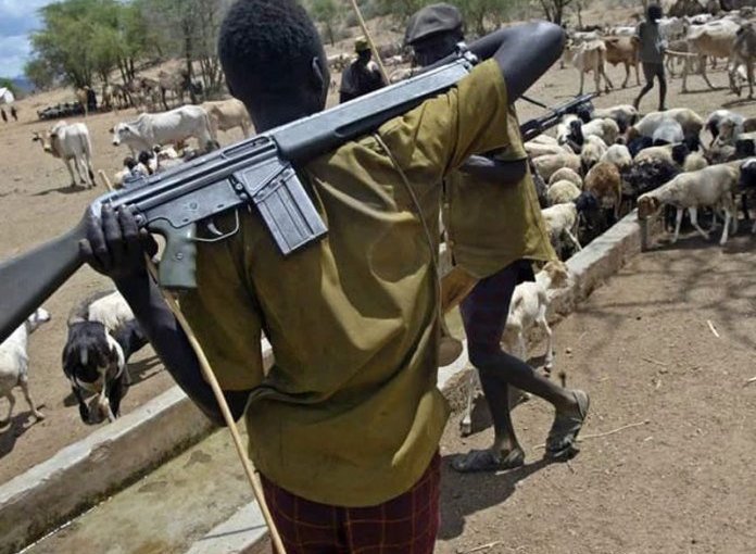 Benue State Governor no land for cattle colony in Benue, insists